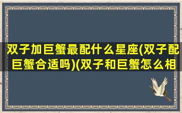 双子加巨蟹最配什么星座(双子配巨蟹合适吗)(双子和巨蟹怎么相处)