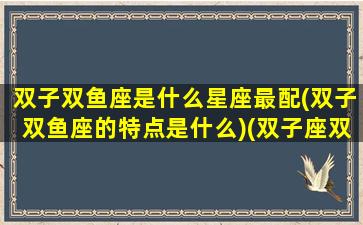 双子双鱼座是什么星座最配(双子双鱼座的特点是什么)(双子座双鱼座配对指数)