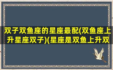 双子双鱼座的星座最配(双鱼座上升星座双子)(星座是双鱼上升双子怎么样)