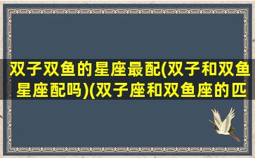 双子双鱼的星座最配(双子和双鱼星座配吗)(双子座和双鱼座的匹配指数)