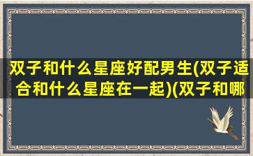 双子和什么星座好配男生(双子适合和什么星座在一起)(双子和哪个星座最搭配)