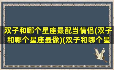 双子和哪个星座最配当情侣(双子和哪个星座最像)(双子和哪个星座最般配)