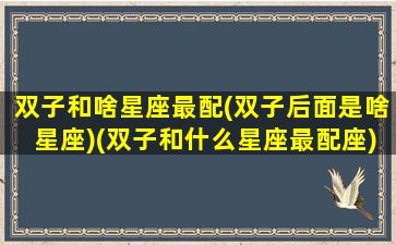 双子和啥星座最配(双子后面是啥星座)(双子和什么星座最配座)