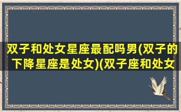 双子和处女星座最配吗男(双子的下降星座是处女)(双子座和处女座婚姻配对指数)