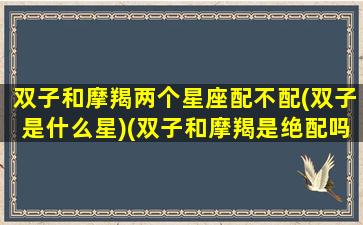 双子和摩羯两个星座配不配(双子是什么星)(双子和摩羯是绝配吗)