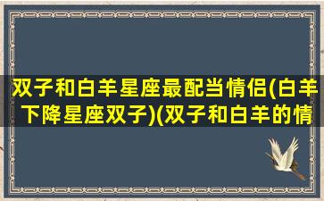 双子和白羊星座最配当情侣(白羊下降星座双子)(双子和白羊的情侣值)