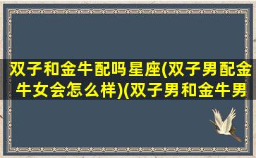 双子和金牛配吗星座(双子男配金牛女会怎么样)(双子男和金牛男合适吗)