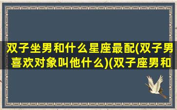 双子坐男和什么星座最配(双子男喜欢对象叫他什么)(双子座男和什么星座合适)