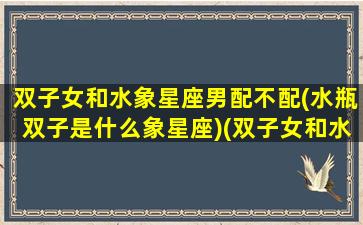 双子女和水象星座男配不配(水瓶双子是什么象星座)(双子女和水瓶女谁更有魅力)