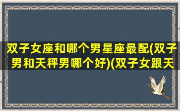 双子女座和哪个男星座最配(双子男和天秤男哪个好)(双子女跟天秤男谁虐谁)