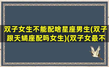 双子女生不能配啥星座男生(双子跟天蝎座配吗女生)(双子女最不配的星座男)