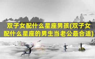 双子女配什么星座男孩(双子女配什么星座的男生当老公最合适)