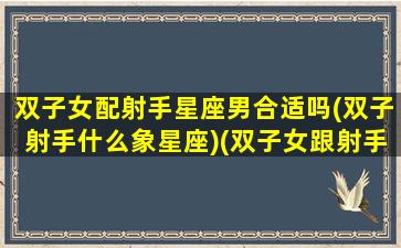 双子女配射手星座男合适吗(双子射手什么象星座)(双子女跟射手男配对指数)