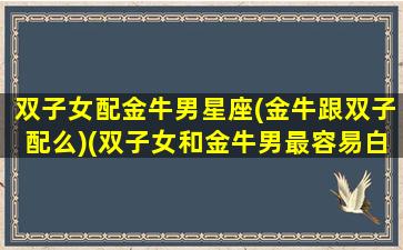 双子女配金牛男星座(金牛跟双子配么)(双子女和金牛男最容易白头偕老)