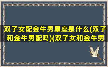 双子女配金牛男星座是什么(双子和金牛男配吗)(双子女和金牛男配不配)