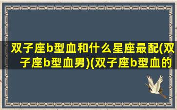 双子座b型血和什么星座最配(双子座b型血男)(双子座b型血的男人的性格)