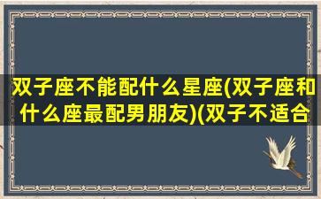 双子座不能配什么星座(双子座和什么座最配男朋友)(双子不适合的星座)