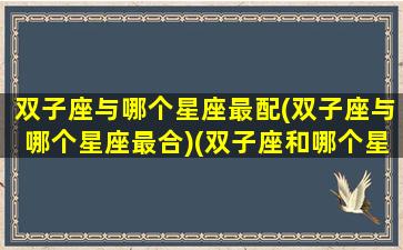 双子座与哪个星座最配(双子座与哪个星座最合)(双子座和哪个星座比较般配)