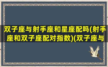 双子座与射手座和星座配吗(射手座和双子座配对指数)(双子座与射手座是否匹配)