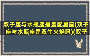 双子座与水瓶座是最配星座(双子座与水瓶座是双生火焰吗)(双子座跟水瓶座合得来吗)