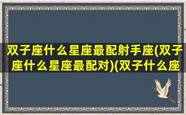 双子座什么星座最配射手座(双子座什么星座最配对)(双子什么座最配对指数)