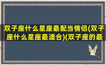 双子座什么星座最配当情侣(双子座什么星座最适合)(双子座的最佳情侣是什么星座)