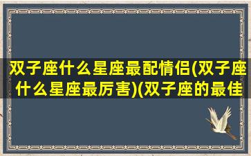 双子座什么星座最配情侣(双子座什么星座最厉害)(双子座的最佳情侣是什么座)