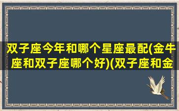 双子座今年和哪个星座最配(金牛座和双子座哪个好)(双子座和金牛座的幸运日)