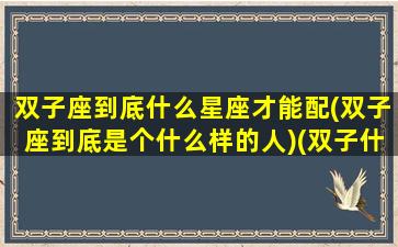 双子座到底什么星座才能配(双子座到底是个什么样的人)(双子什么座最配对)