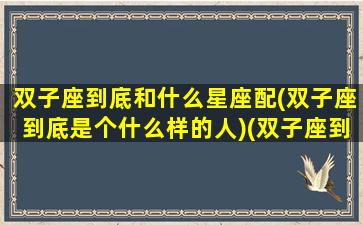 双子座到底和什么星座配(双子座到底是个什么样的人)(双子座到底和什么星座最配)