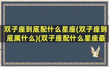 双子座到底配什么星座(双子座到底属什么)(双子座配什么星座最佳)