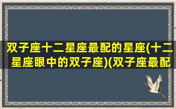双子座十二星座最配的星座(十二星座眼中的双子座)(双子座最配的星座排名)