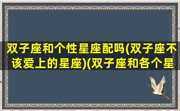 双子座和个性星座配吗(双子座不该爱上的星座)(双子座和各个星座配对指数)