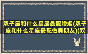 双子座和什么星座最配婚姻(双子座和什么星座最配做男朋友)(双子座和什么星座的人最配)