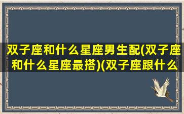 双子座和什么星座男生配(双子座和什么星座最搭)(双子座跟什么星座男最配)