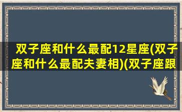 双子座和什么最配12星座(双子座和什么最配夫妻相)(双子座跟什么最配对)