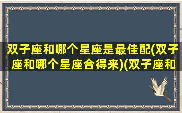 双子座和哪个星座是最佳配(双子座和哪个星座合得来)(双子座和哪个星座比较般配)