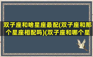 双子座和啥星座最配(双子座和那个星座相配吗)(双子座和哪个星座配对最好)