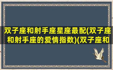 双子座和射手座星座最配(双子座和射手座的爱情指数)(双子座和射手座的配对指数)