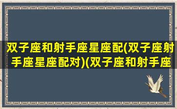 双子座和射手座星座配(双子座射手座星座配对)(双子座和射手座的配对)