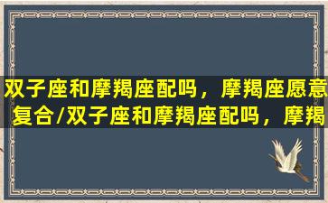 双子座和摩羯座配吗，摩羯座愿意复合/双子座和摩羯座配吗，摩羯座愿意复合-我的网站