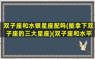 双子座和水银星座配吗(能拿下双子座的三大星座)(双子座和水平座配对指数)