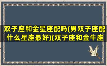 双子座和金星座配吗(男双子座配什么星座最好)(双子座和金牛座的配对)