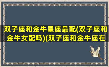 双子座和金牛星座最配(双子座和金牛女配吗)(双子座和金牛座在一起会怎么样)