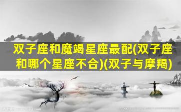 双子座和魔竭星座最配(双子座和哪个星座不合)(双子与摩羯)