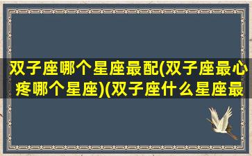 双子座哪个星座最配(双子座最心疼哪个星座)(双子座什么星座最配做朋友)