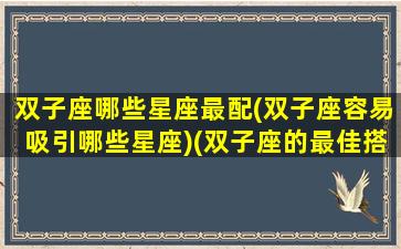 双子座哪些星座最配(双子座容易吸引哪些星座)(双子座的最佳搭档是哪个星座)