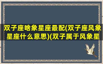 双子座啥象星座最配(双子座风象星座什么意思)(双子属于风象星座)