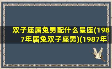 双子座属兔男配什么星座(1987年属兔双子座男)(1987年双子男的爱情)