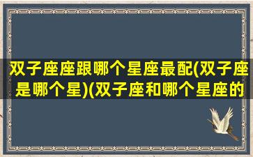 双子座座跟哪个星座最配(双子座是哪个星)(双子座和哪个星座的配对)